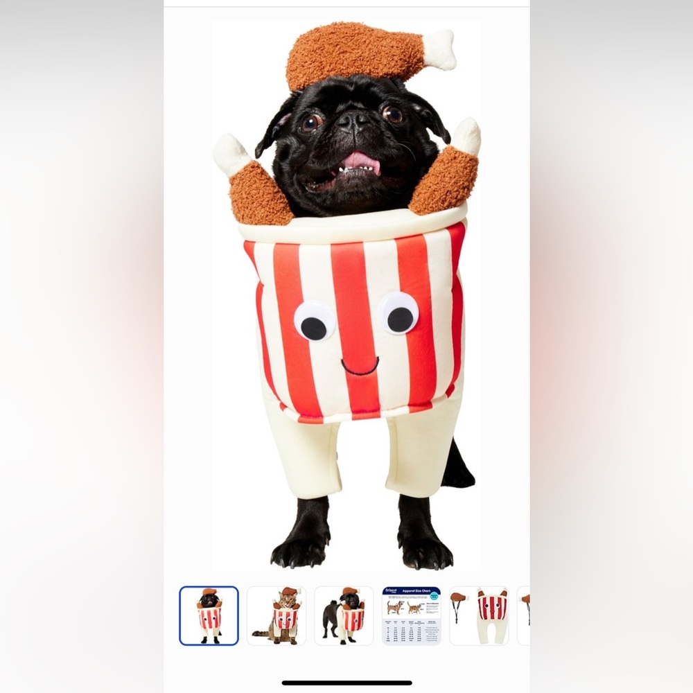 Frisco Front Walking Fried Chicken Bucket. Dog or Cat Costume